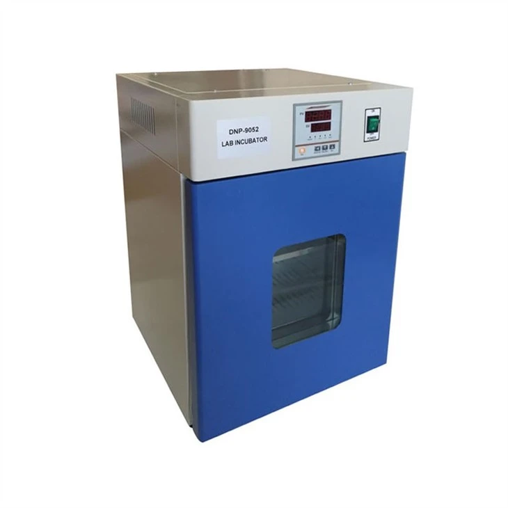 Electric Thermostatic Incubator